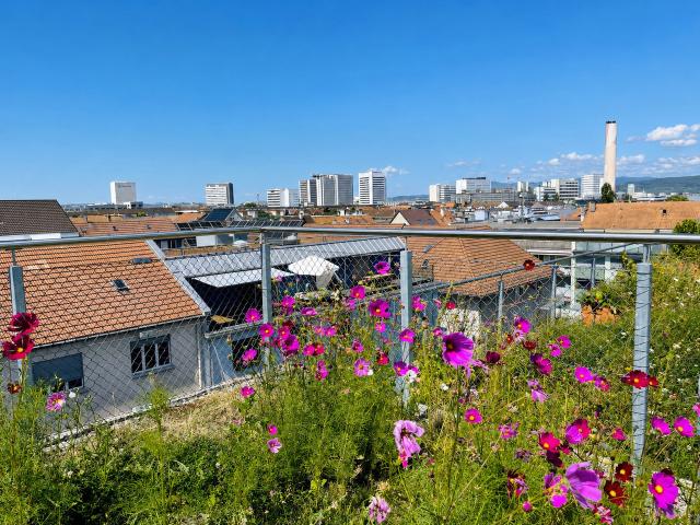 Wohnung kaufen in Basel, Basel-Stadt