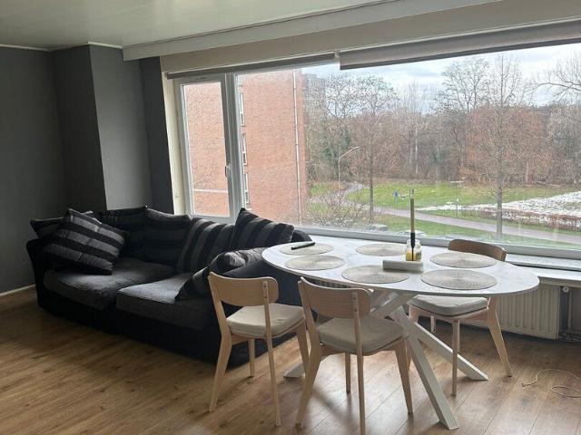 Kot location à Groenenhoek, Antwerpen