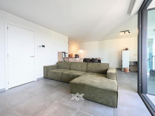 Kot location à Deinze, Oost-Vlaanderen