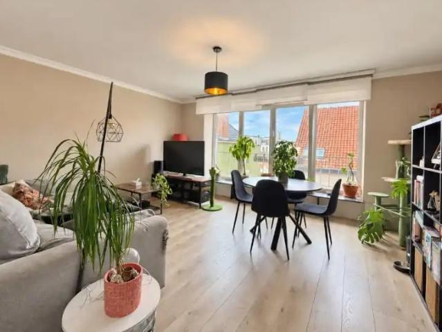 Appartement location à Ham, Gent