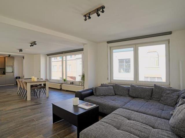 Kot location à Dendermonde, Oost-Vlaanderen
