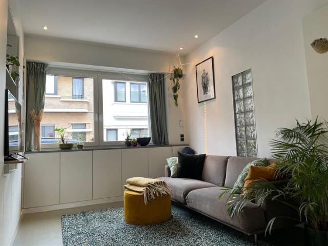 Maison location à Antwerpen