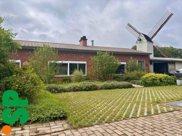 Maison location à Geel, Antwerpen