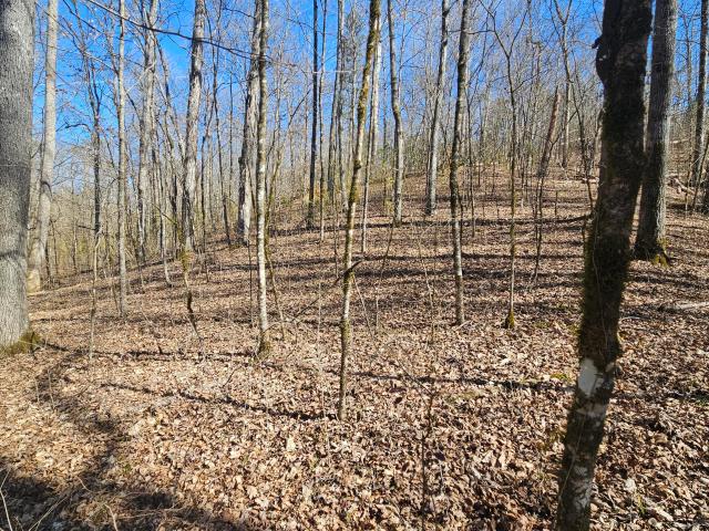 Land for sale in Tennessee