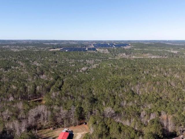Land for sale in Toomsuba, Mississippi