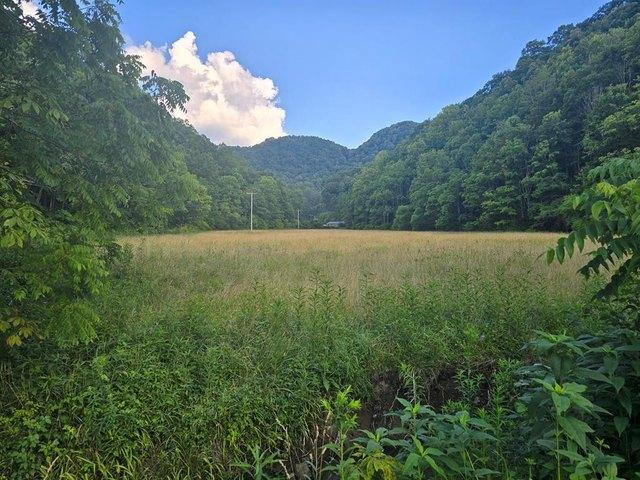 House for sale in North Tazewell, Tazewell