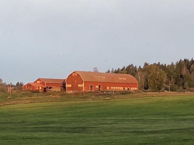 Lägenhet hyra i Gamleby, Kalmar