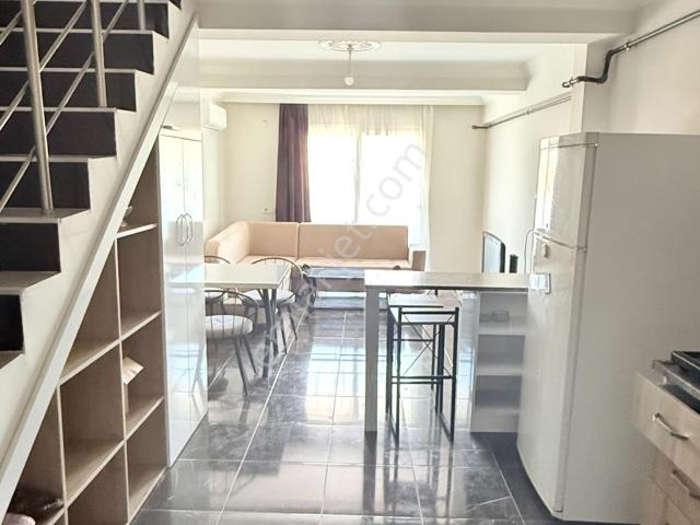 Nazilli, Aydin içerisinde kiralık mülk