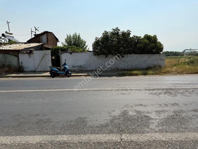 Nazilli, Aydin içerisinde kiralık mülk