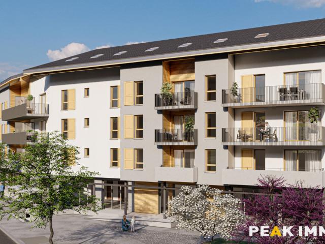Appartement vente à Annecy, Thônes