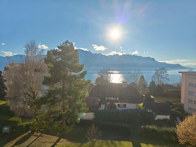 Wohnung kaufen in Chailly-Montreux, Waadt