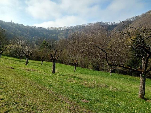 Erdgeschosswohnung kaufen in Bad Überkingen, Landkreis Göppingen