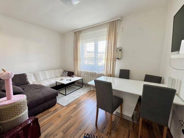 Apartment kaufen in Liebenau, Gersdorf-Feistritz