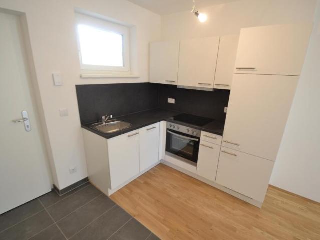 Apartment mieten in Liebenau, Gersdorf-Feistritz