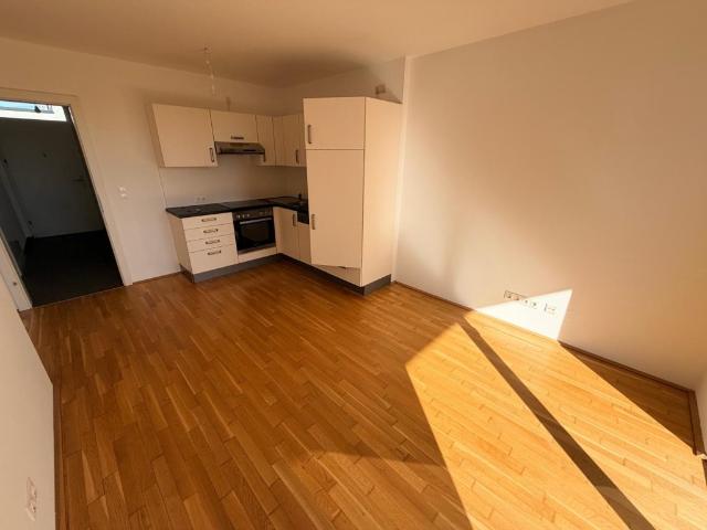 Apartment mieten in Liebenau, Gersdorf-Feistritz
