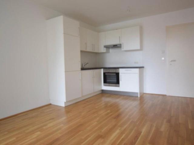 Apartment mieten in Liebenau, Gersdorf-Feistritz