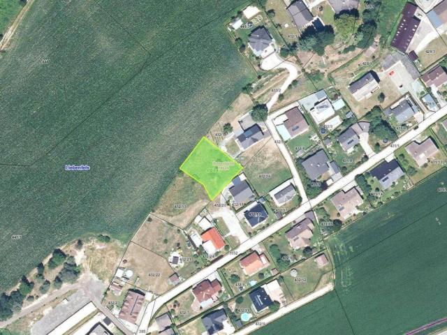 Immobilie kaufen in Pulst, Liebenfels