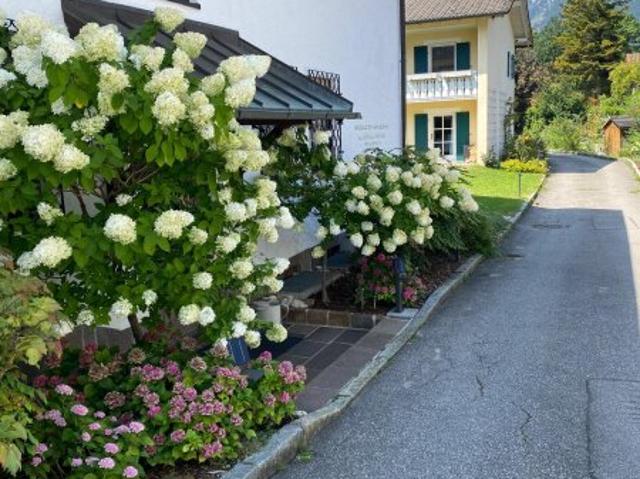 Apartment kaufen