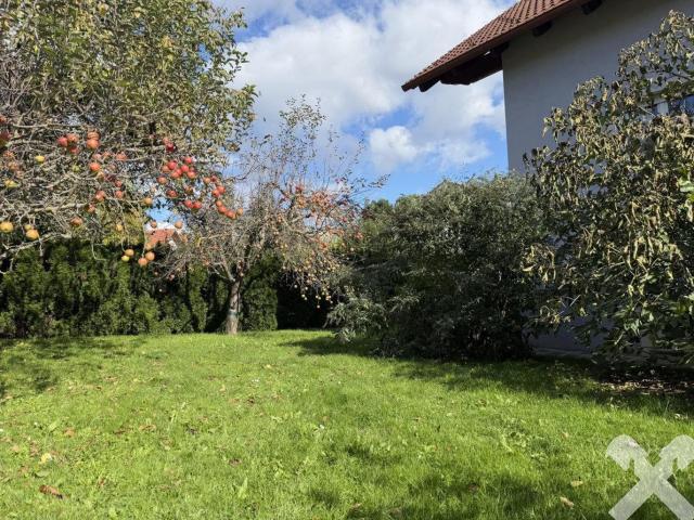 Haus kaufen in Rohrbach an der Lafnitz, Steiermark