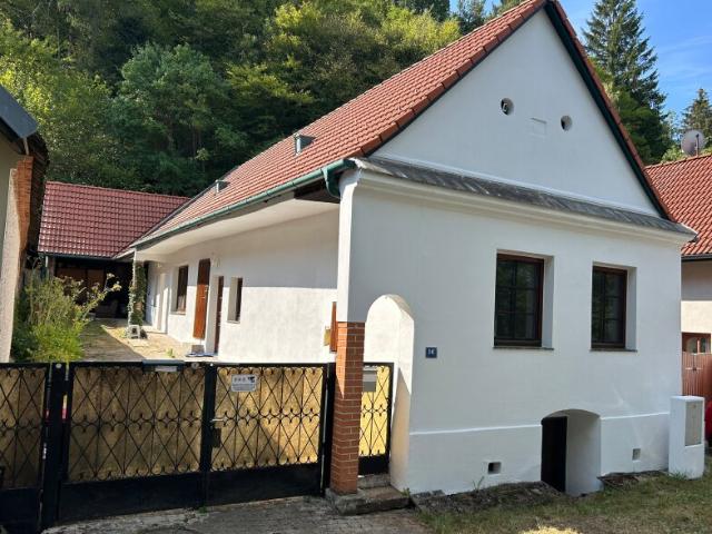 Einfamilienhaus kaufen in Piringsdorf, Burgenland