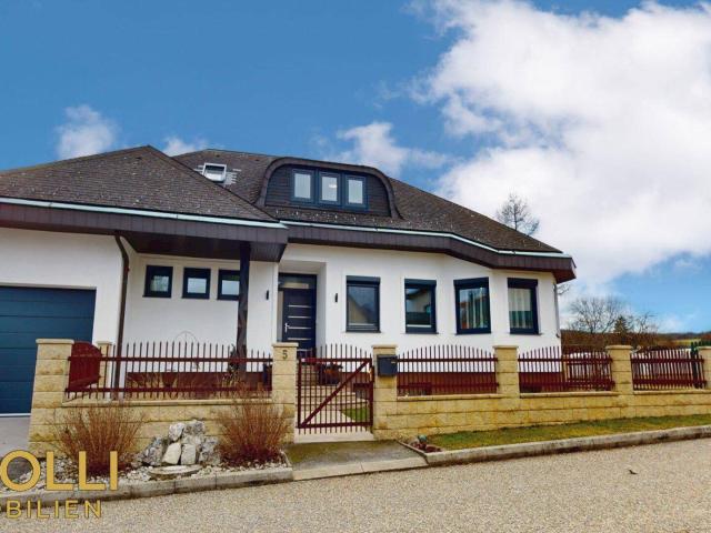 Haus kaufen in Edelstal, Burgenland