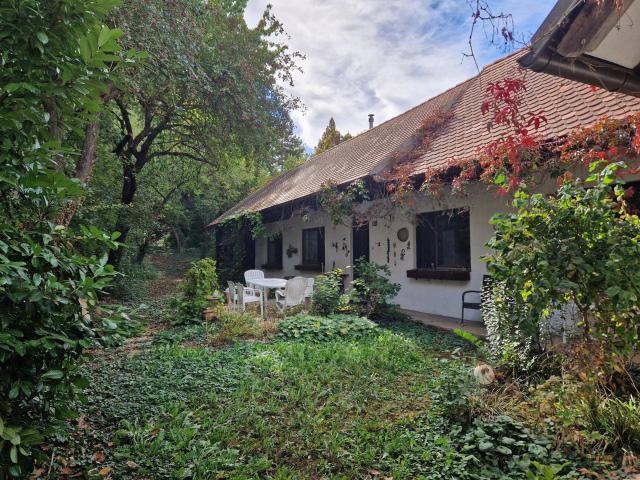 Haus kaufen in Großmeiseldorf, Ziersdorf