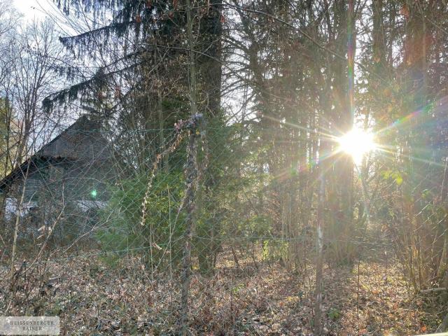 Grundstück kaufen in Stainz, Steiermark