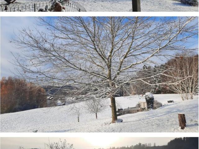 Haus kaufen in Geboltskirchen, Oberösterreich