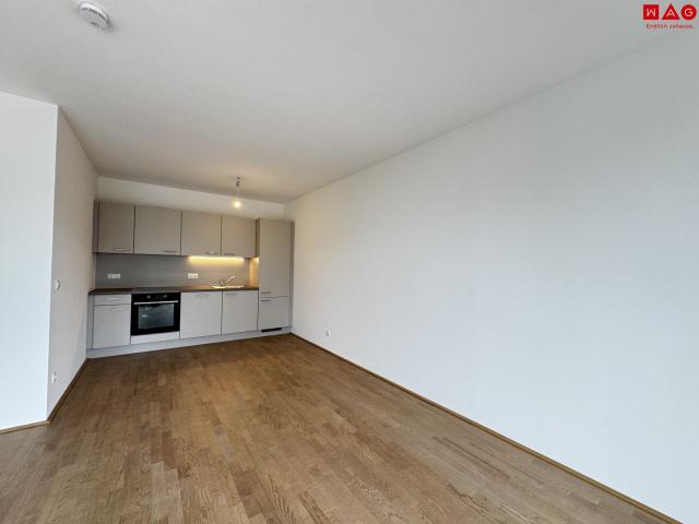 Apartment mieten in Katastralgemeinde Straßgang, Graz
