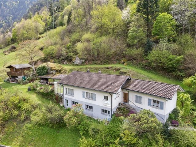 Einfamilienhaus kaufen in Erstfeld, Uri