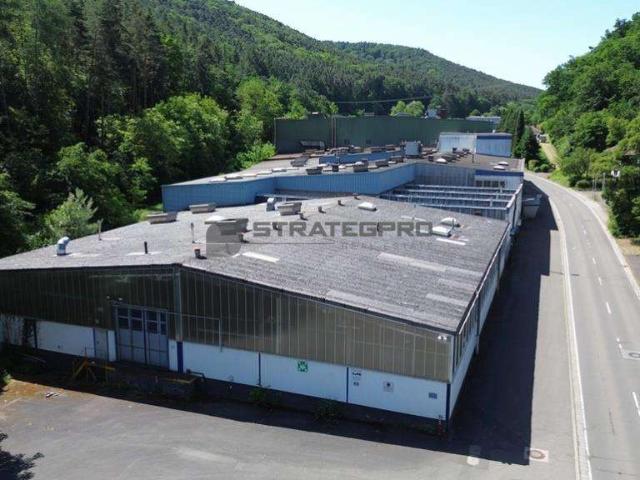 Industrie kaufen in Grünstadt, Landkreis Bad Dürkheim
