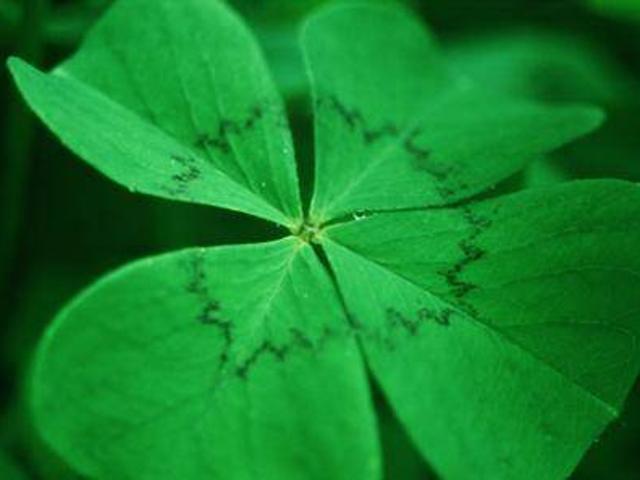 Immobilie kaufen in Innsbruck, Tirol