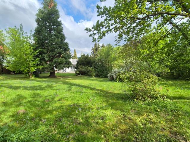 Haus kaufen in Kirchstetten, Niederösterreich