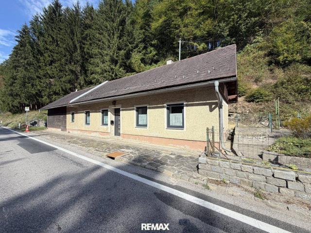 Haus kaufen in Schwerbach, Kirchberg an der Pielach