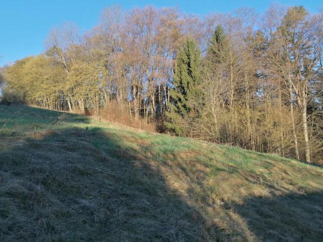 Haus kaufen in St. Nikolai im Sausal, Steiermark