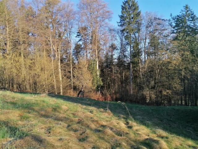 Haus kaufen in St. Nikolai im Sausal, Steiermark