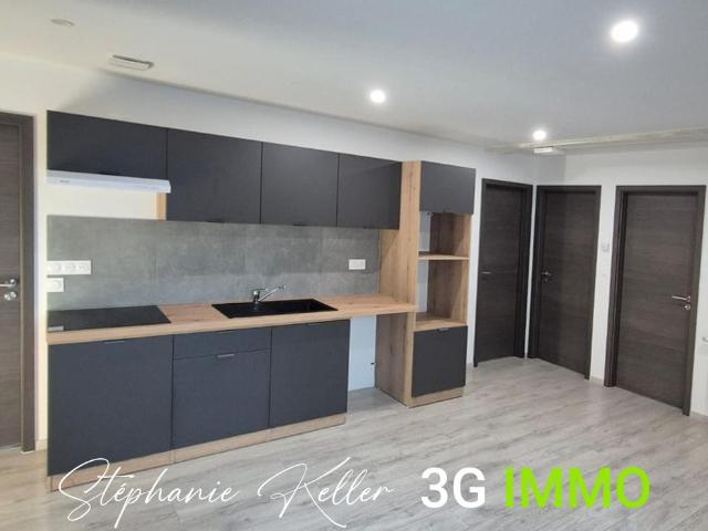 Appartement location à Colmar-Ribeauvillé, Lièpvre