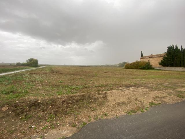 Terrain vente à Béziers, Lieuran-lès-béziers