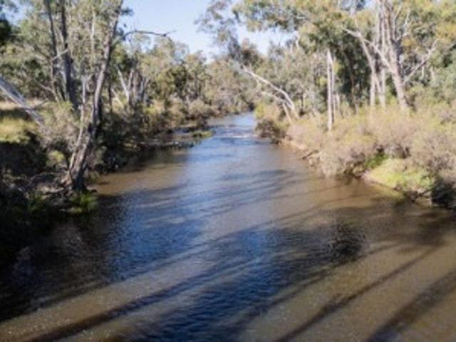 Cottage for sale in Mole River, New South Wales