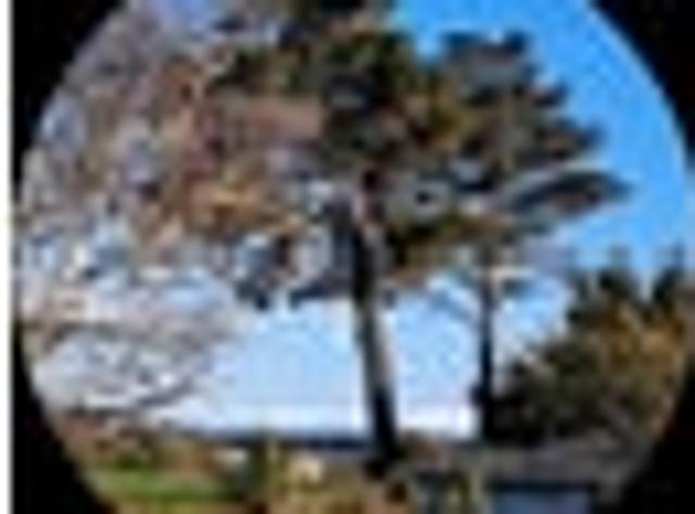 House for sale in Waimairi Beach, Christchurch