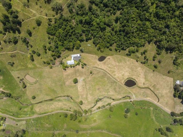 Cottage for sale in Leycester, New South Wales