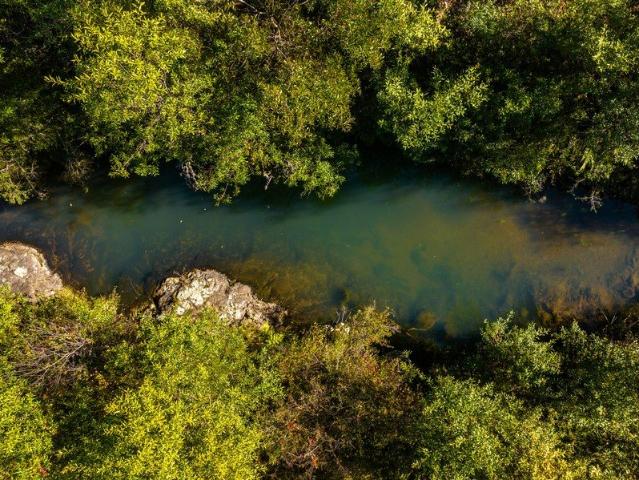 Acreage for sale in Elands, New South Wales