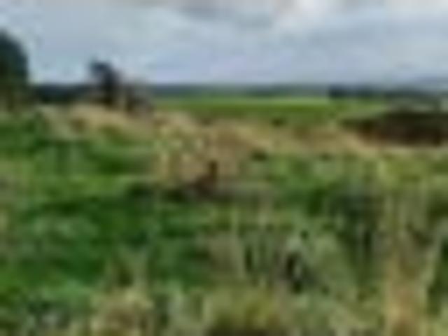 Land for sale in Te Tua, Southland