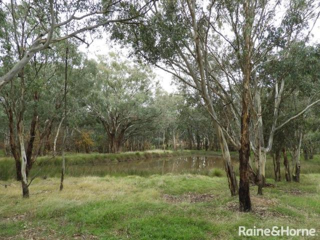 Land for sale in Maimuru, New South Wales