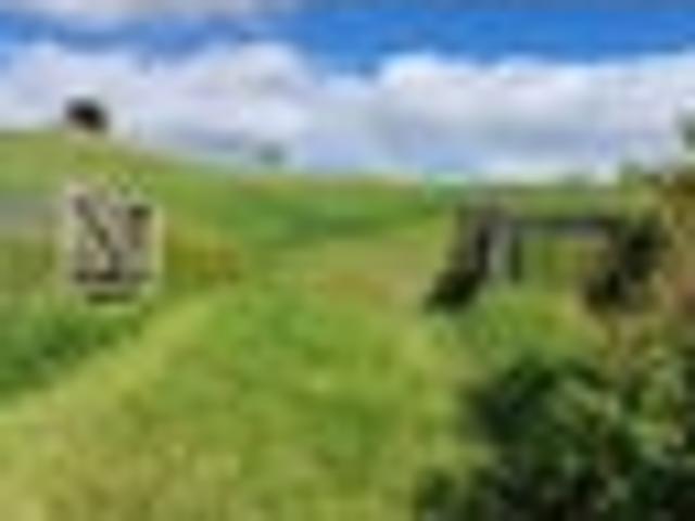 Land for sale in Northland