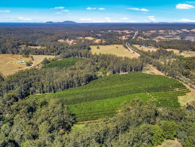 Land for sale in Allgomera, New South Wales