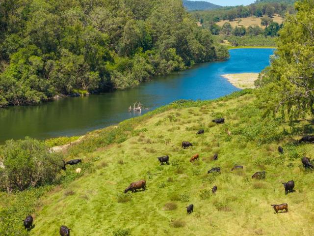 Property for sale in East Kempsey, New South Wales