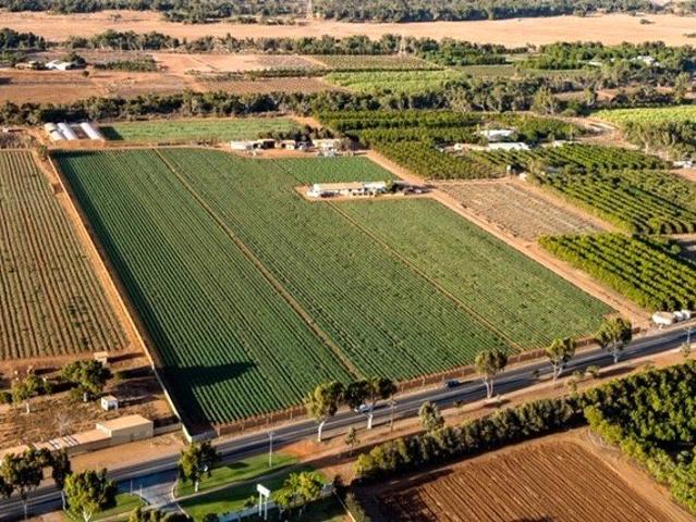 House for sale in East Carnarvon, Western Australia