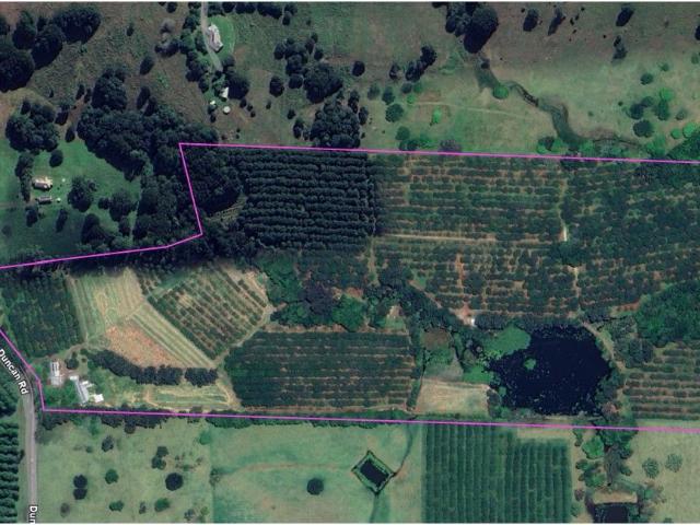 Property for sale in New South Wales