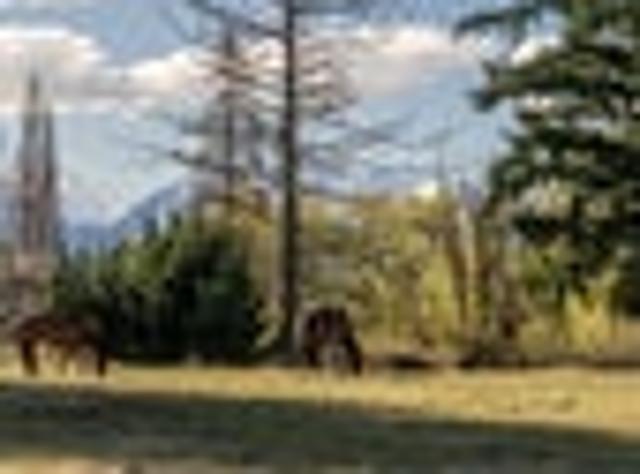 Land for sale in Mackenzie, Canterbury